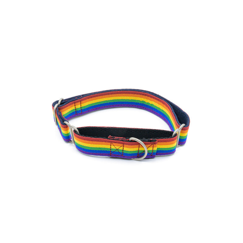 Rainbow Pride Fabric Martingale Collar