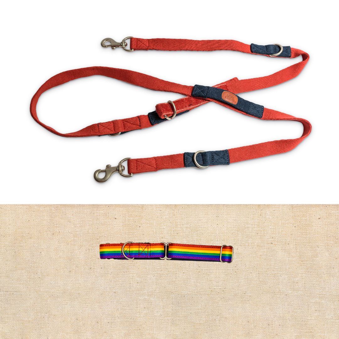 Rainbow Pride Martingale Collar with Red Multi-Function Leash