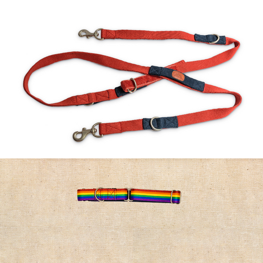 Rainbow Pride Martingale Collar with Red Multi-Function Leash