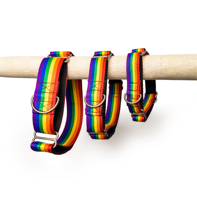 Rainbow Pride Fabric Belt Collar
