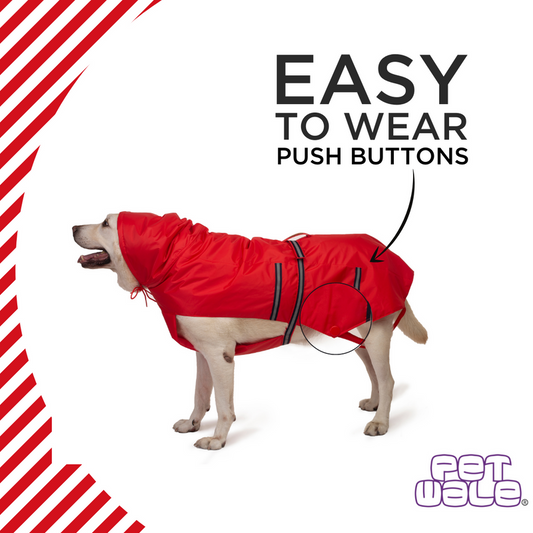 Red Raincoat with Reflective Strips