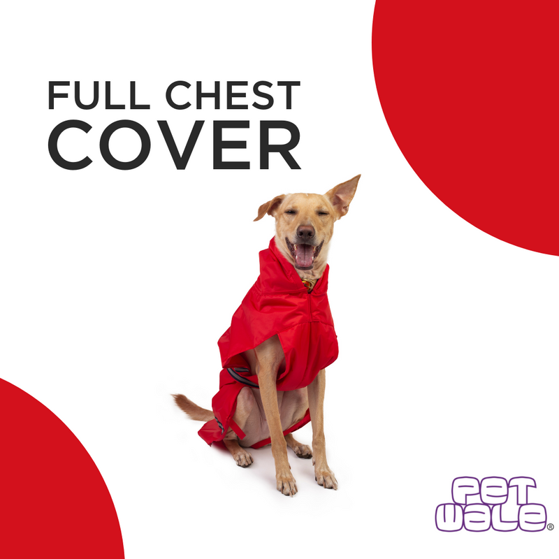 Red Raincoat with Reflective Strips
