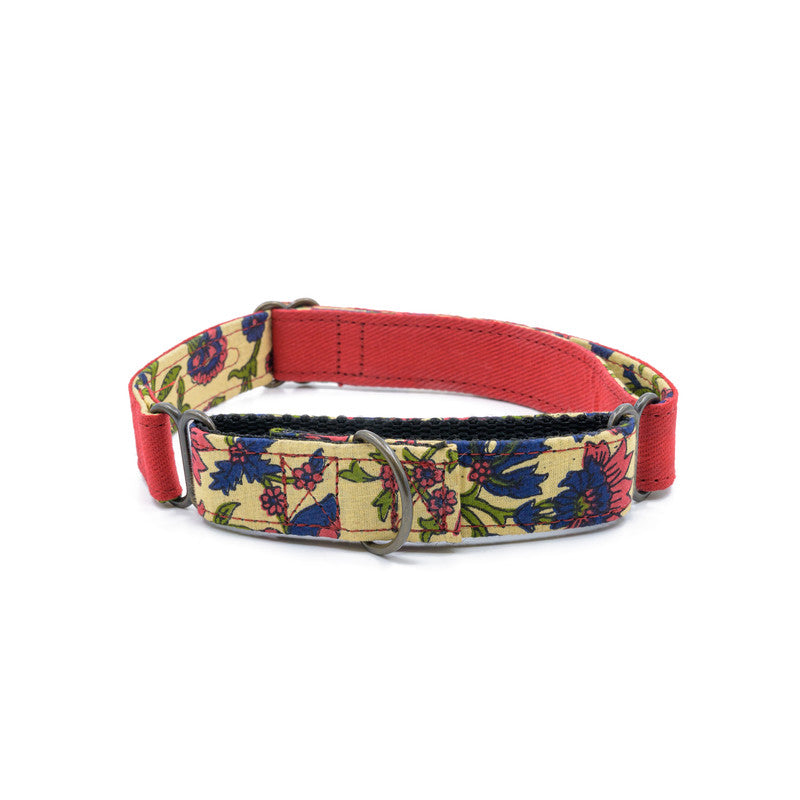 Red Fabric Martingale Collar