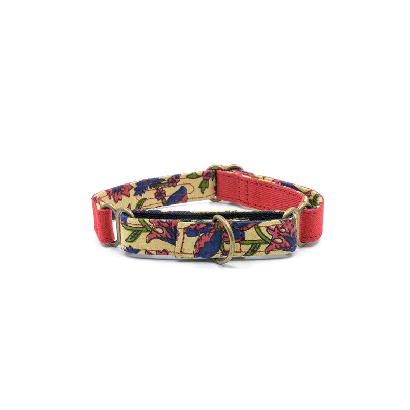 Red Fabric Martingale Collar