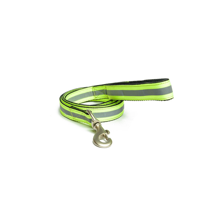 Reflective Green Nylon Leash with padded handle