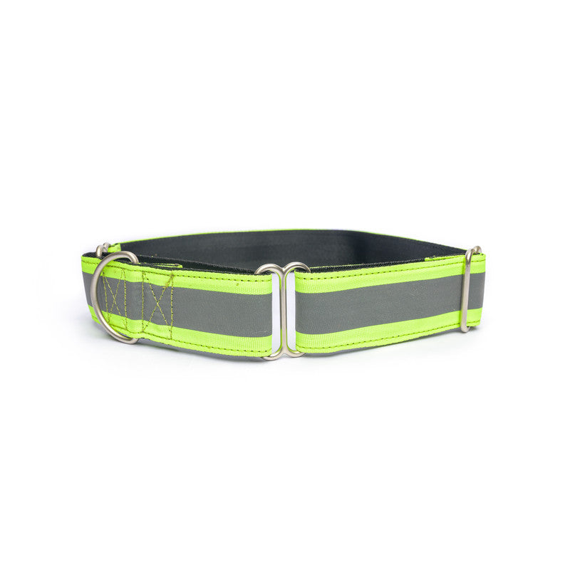 Reflective Green Nylon Martingale Collar