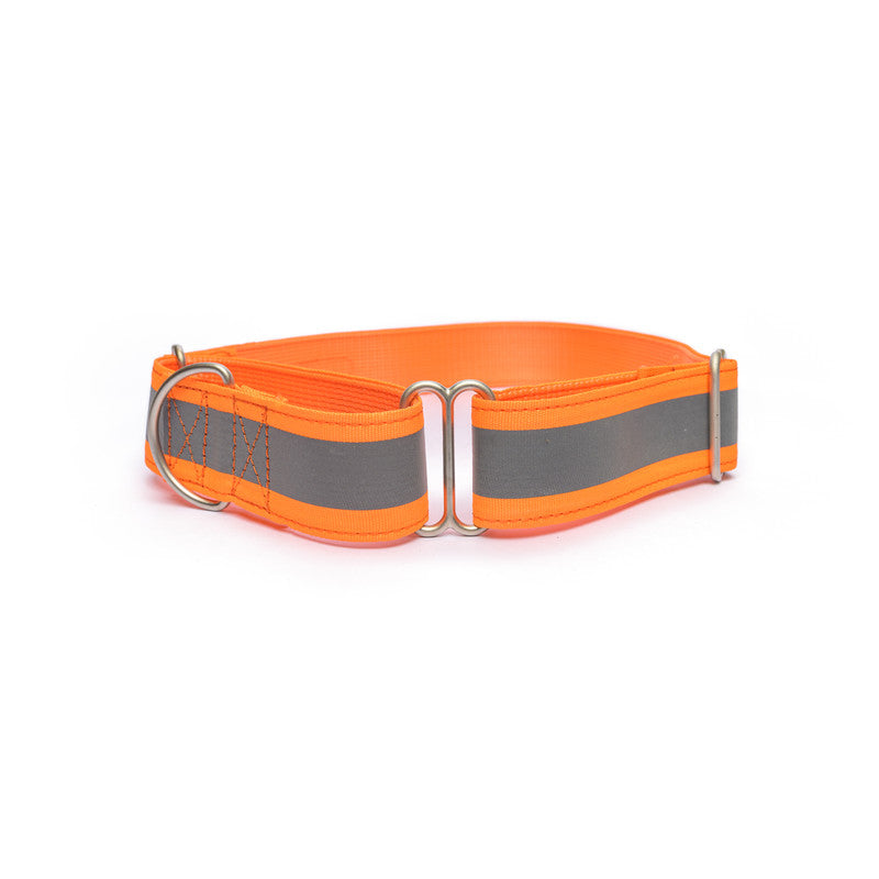 Reflective Orange Nylon Martingale Collar