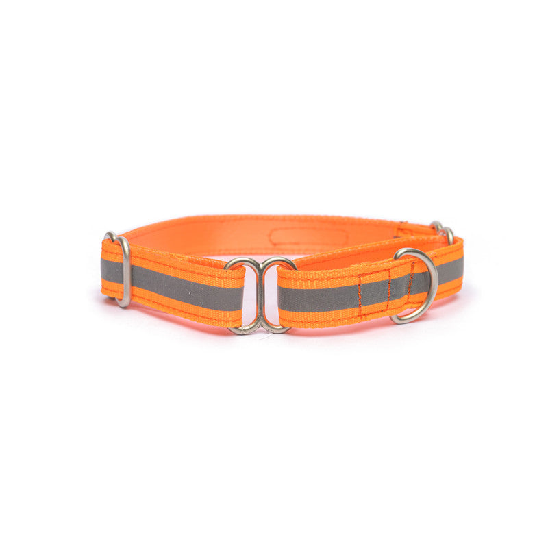 Reflective Orange Nylon Martingale Collar