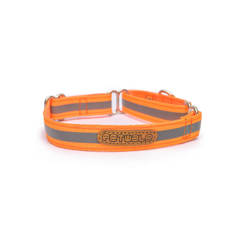Reflective Orange Nylon Martingale Collar