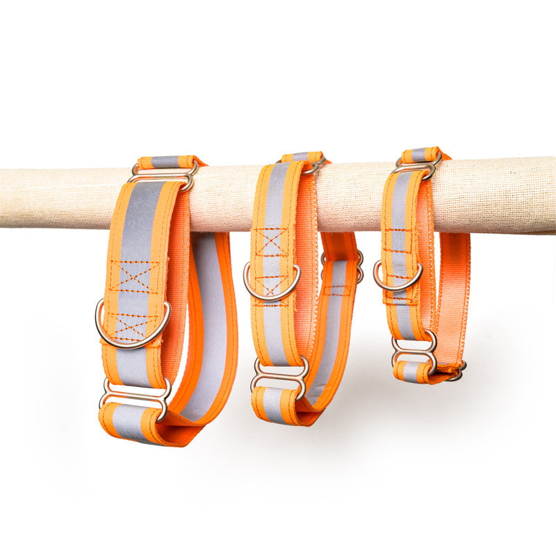 Reflective Orange Nylon Martingale Collar
