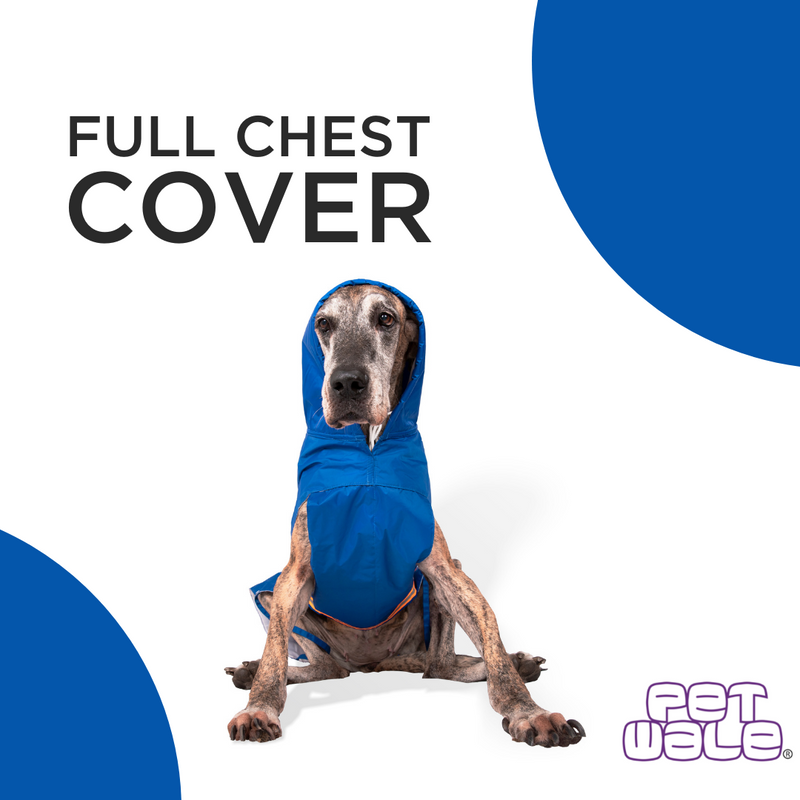 Royal Blue Raincoat with Reflective Strips