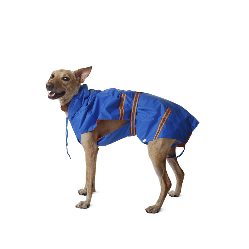 Royal Blue Raincoat with Reflective Strips