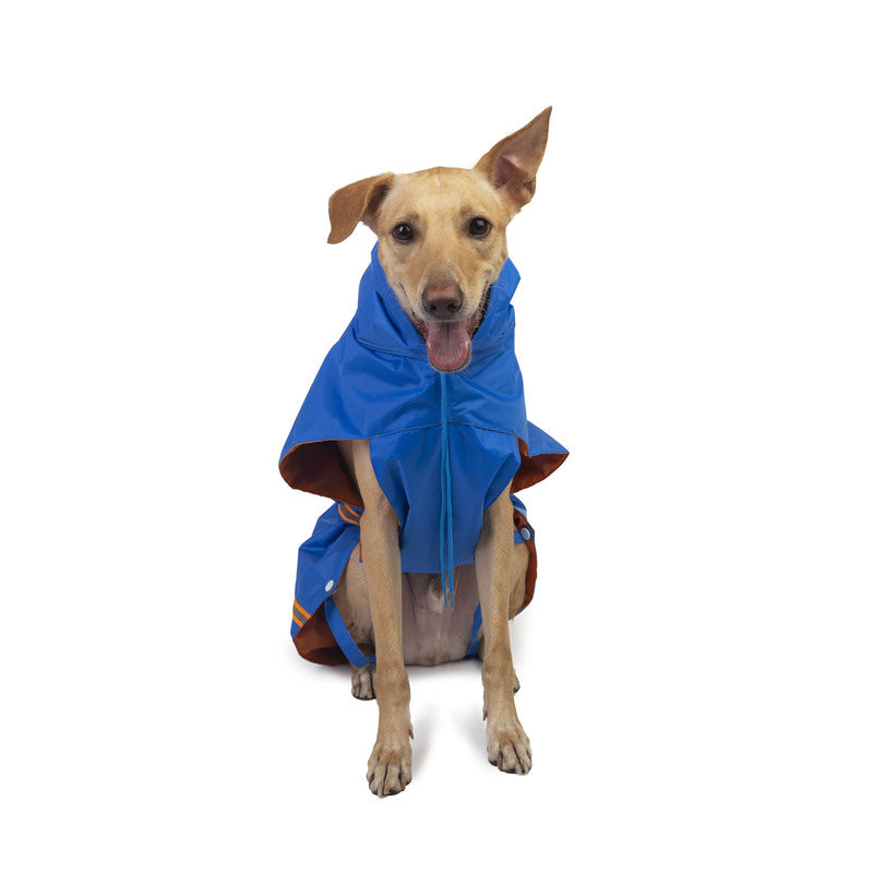 Royal Blue Raincoat with Reflective Strips