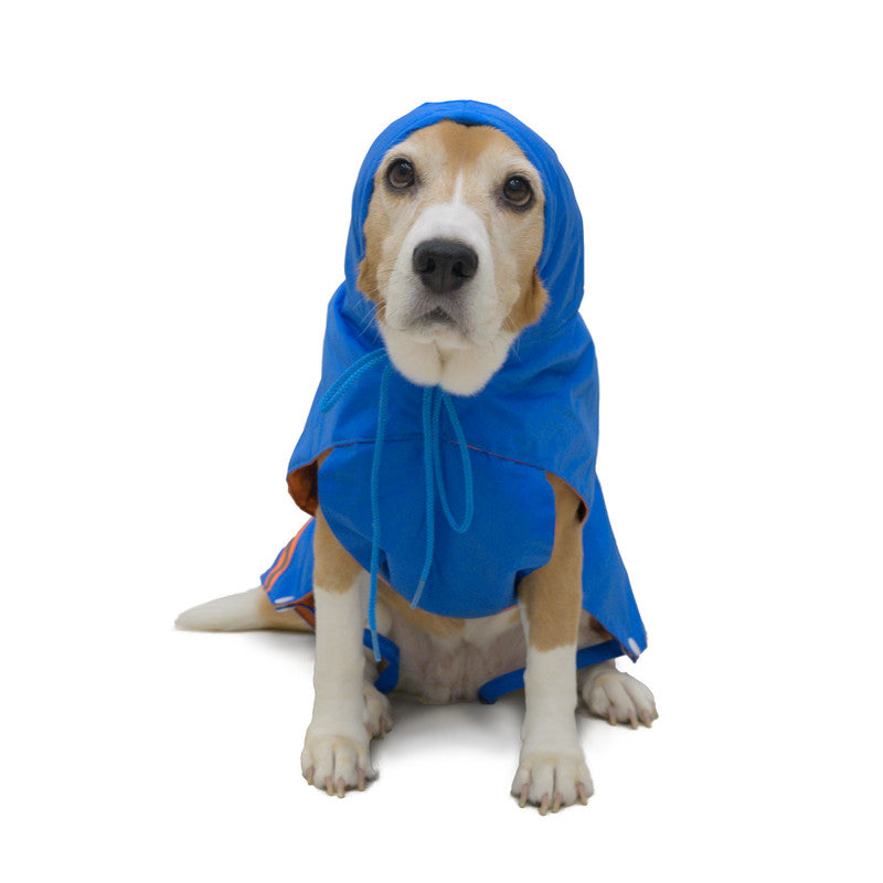 Royal Blue Raincoat with Reflective Strips