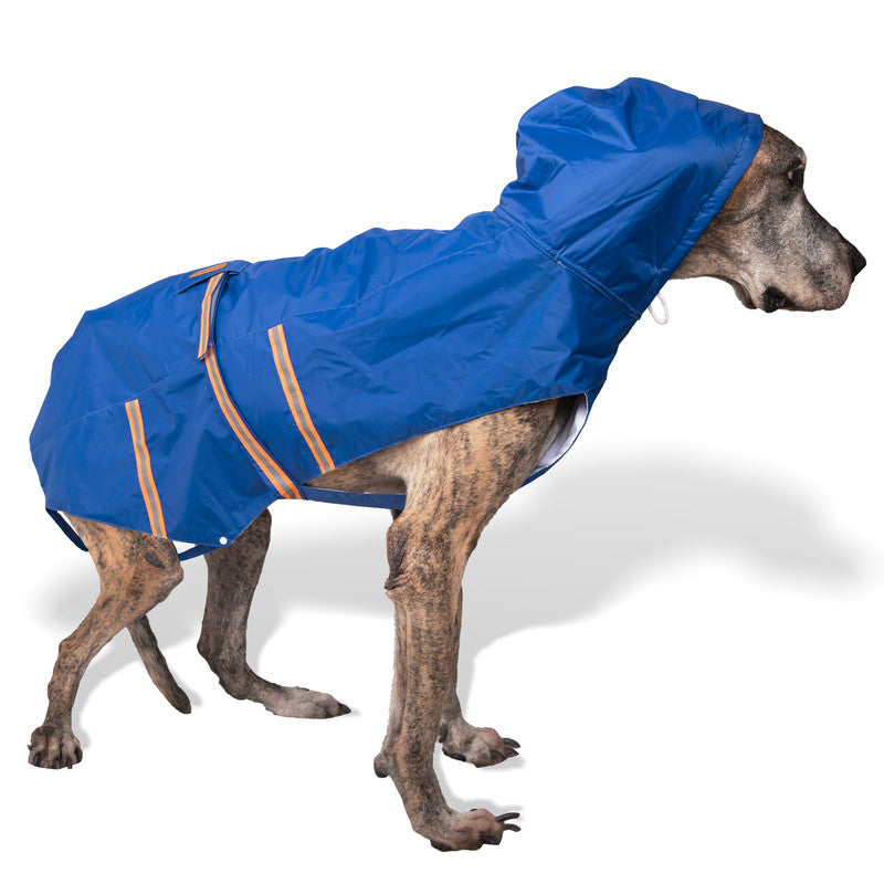 Royal Blue Raincoat with Reflective Strips