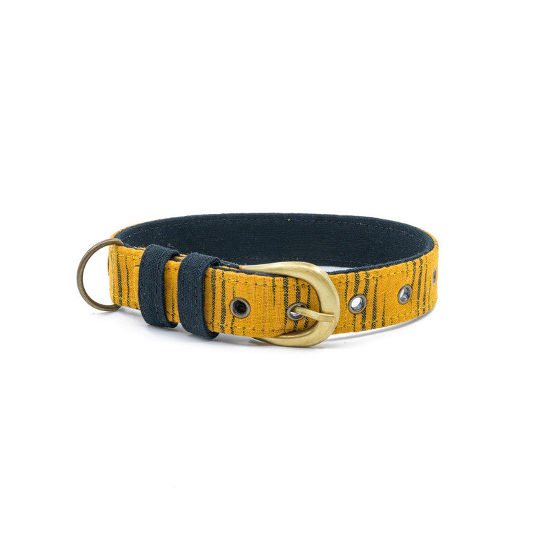 Tiger Print Fabric Belt Collar
