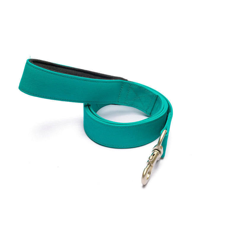 Turquoise Fabric Leash with padded handle