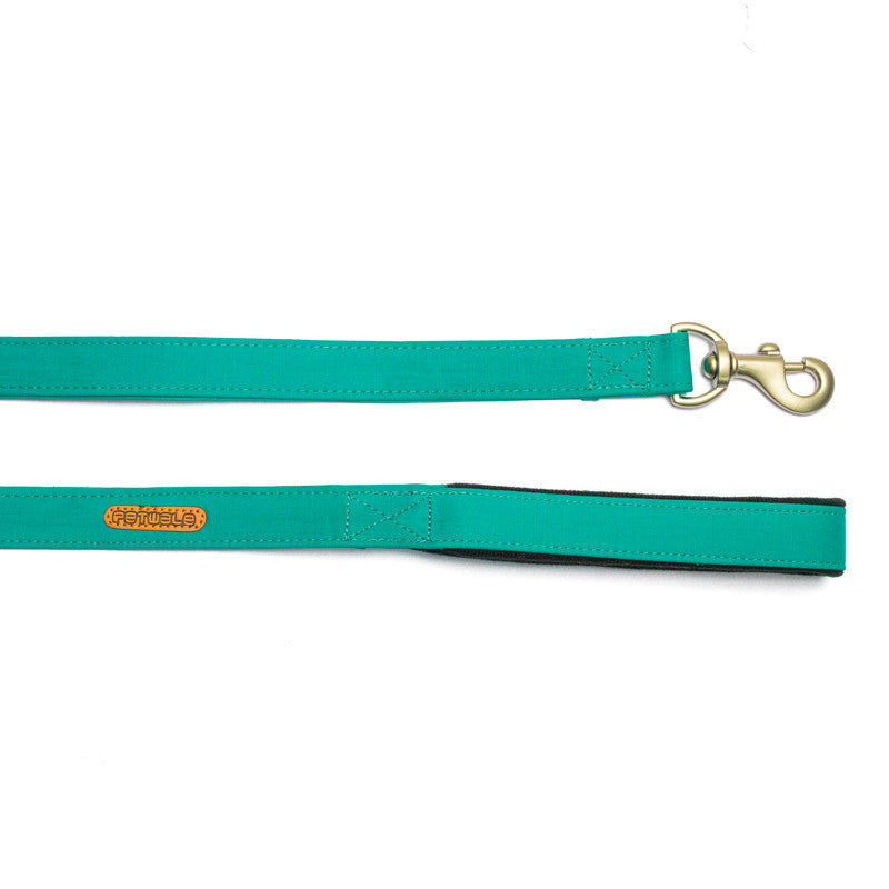 Turquoise Fabric Leash with padded handle