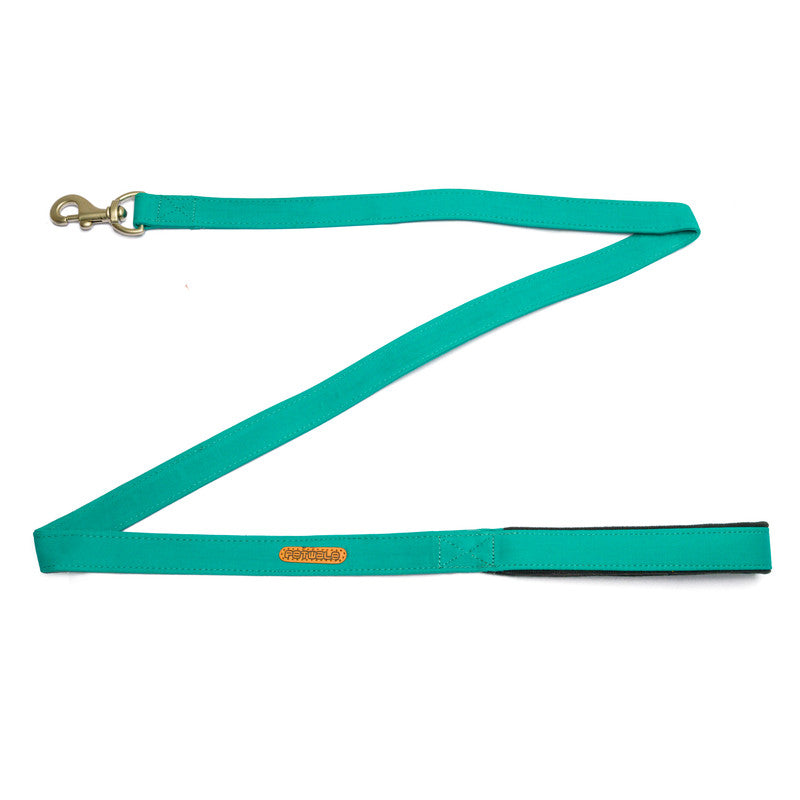 Turquoise Fabric Leash with padded handle