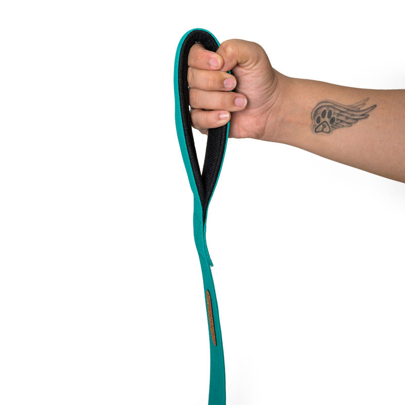 Turquoise Fabric Leash with padded handle