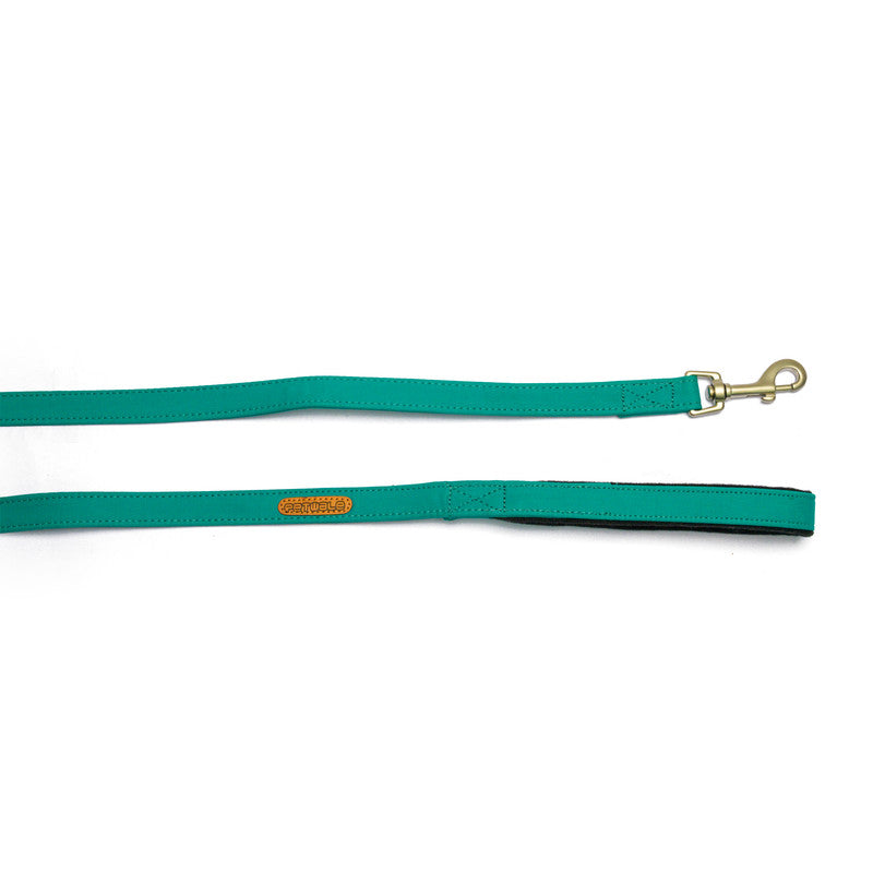 Turquoise Fabric Leash with padded handle