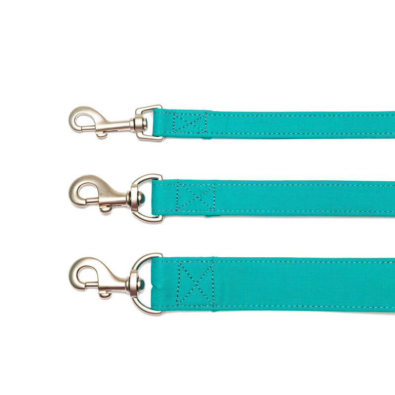 Turquoise Fabric Leash with padded handle