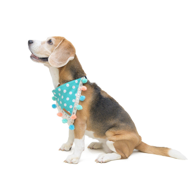 Turquoise Polka Bandana for Dogs