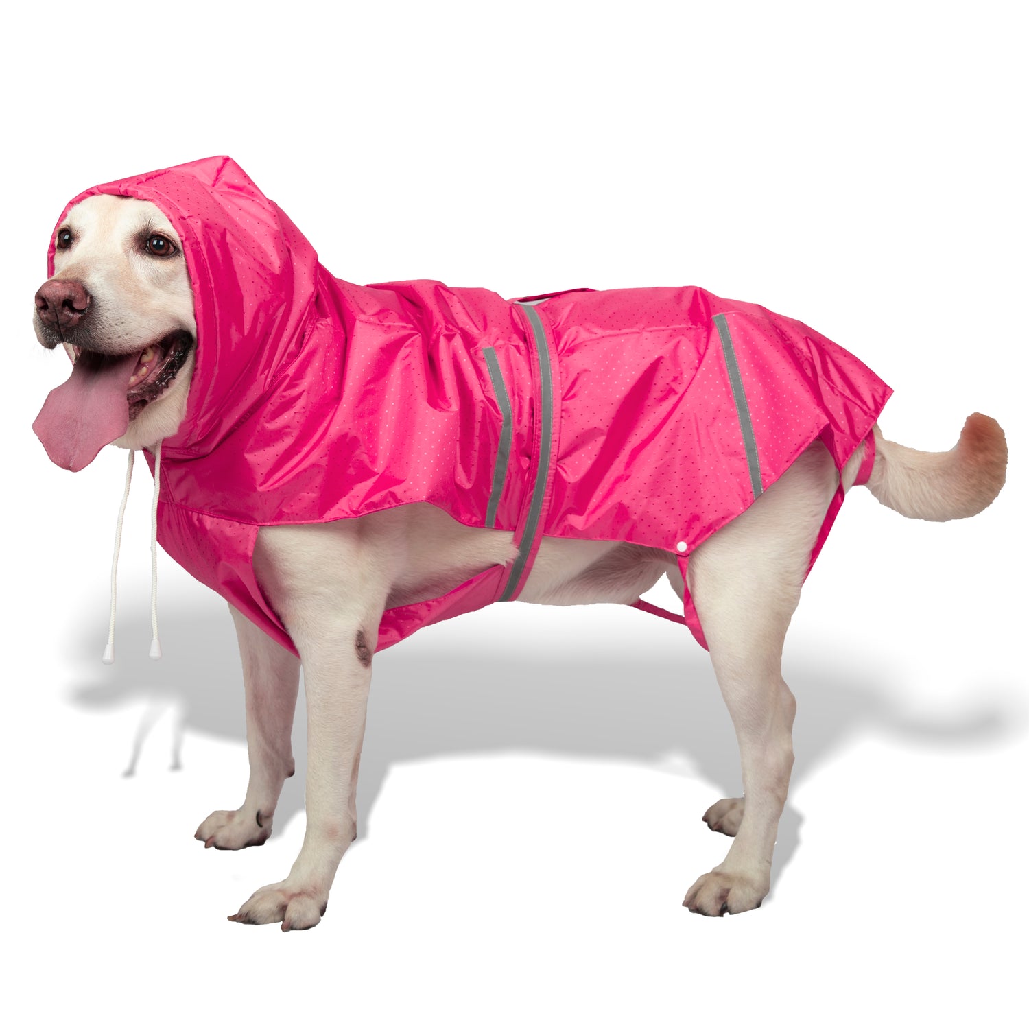 Get your pooch ready for the monsoons with their own rainwear!