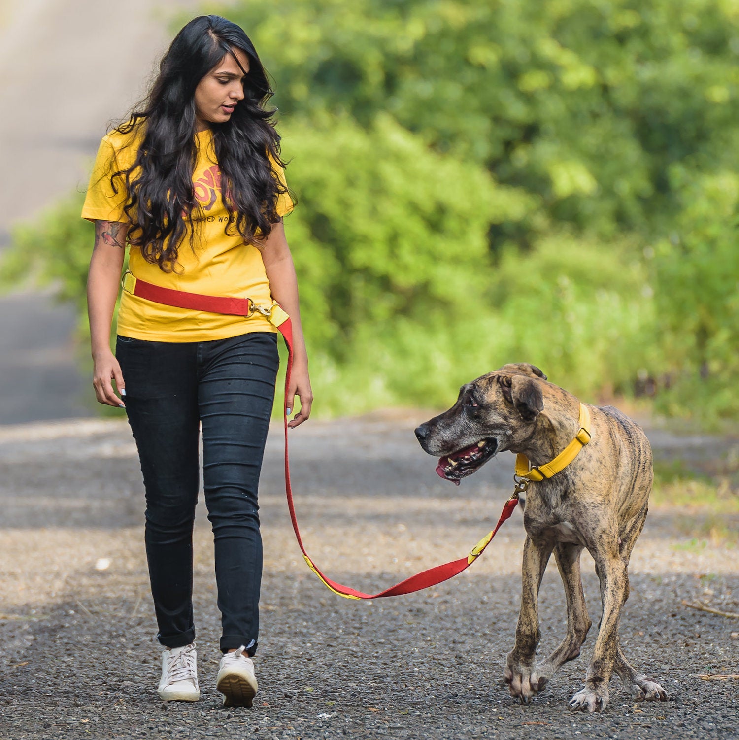 Multi-Function Leashes