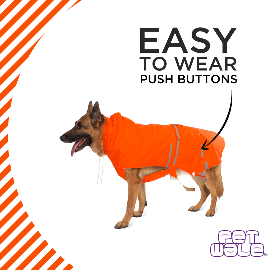 Orange Raincoats with Reflective Strips