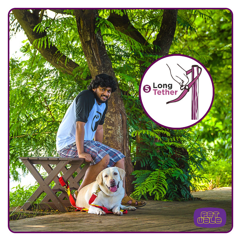 Multi-Function Cotton Leash - Yellow