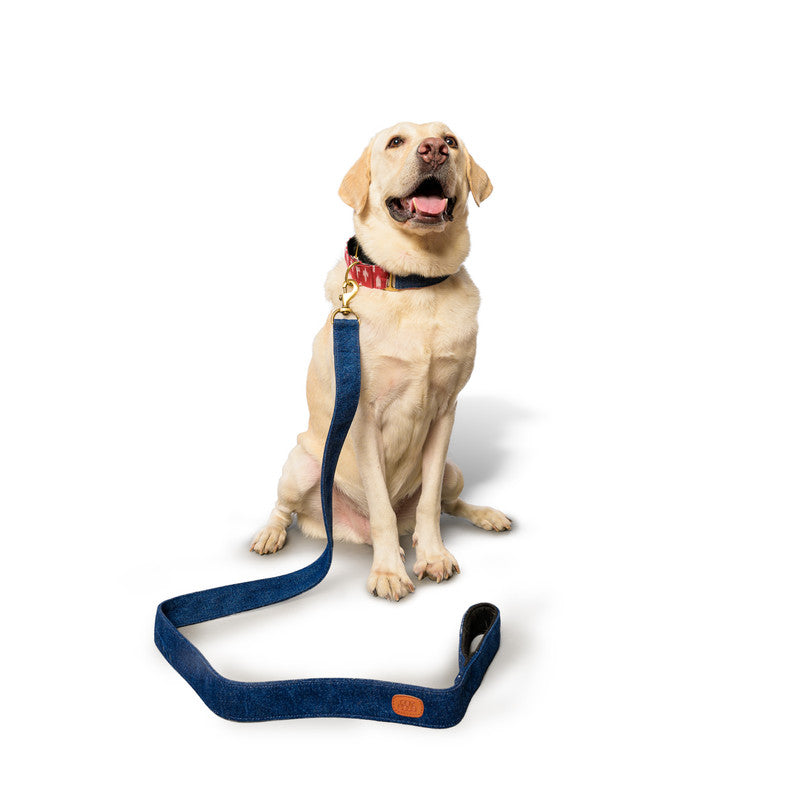 Blue Denim Fabric Leash with padded handle
