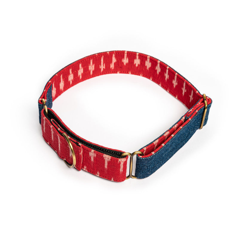 Blue Denim Fabric Martingale Collar
