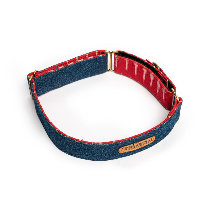 Blue Denim Fabric Martingale Collar