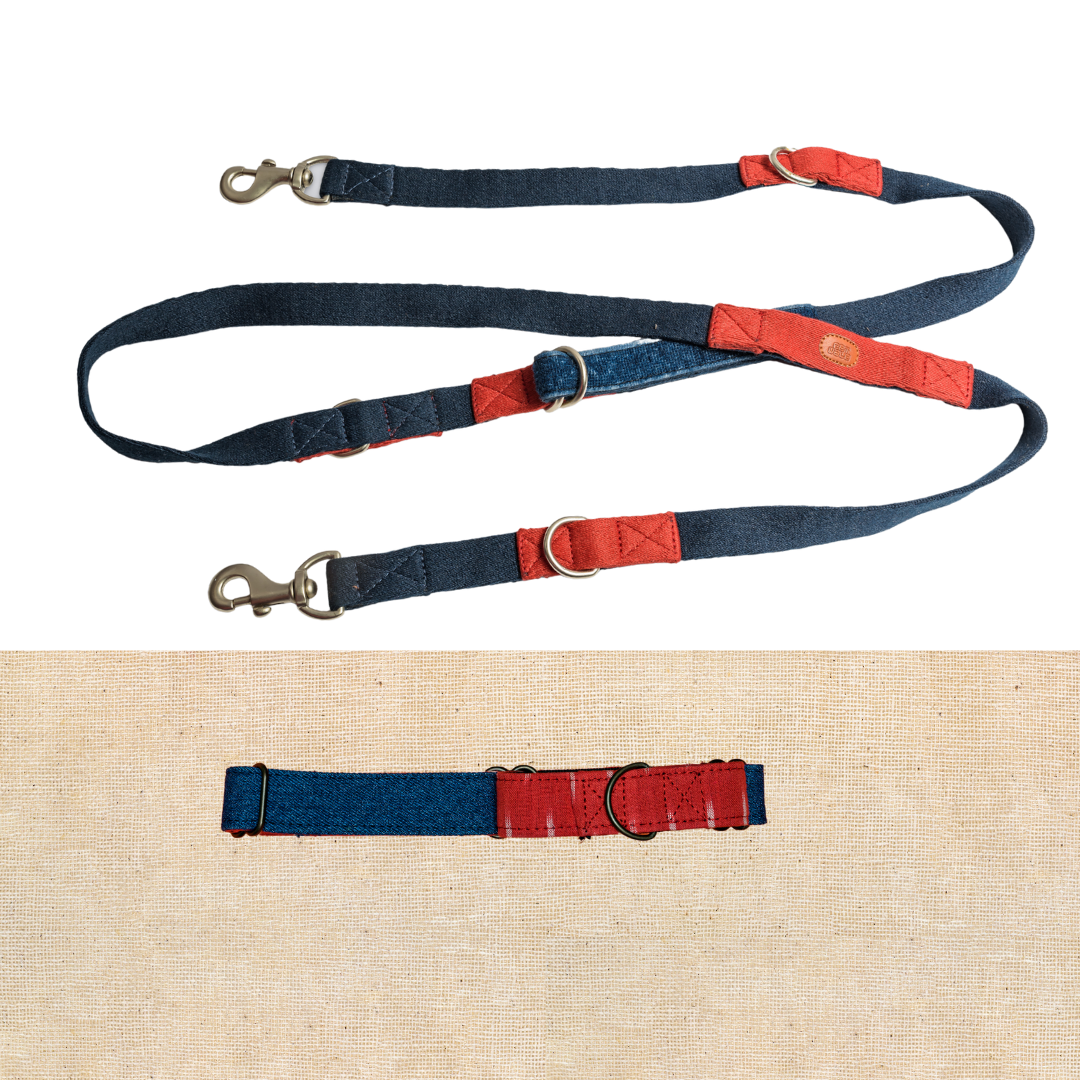 Martingale Collar and Multi-function Leash Set