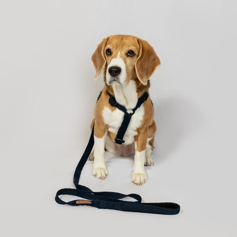 Navy Blue Cotton H-Harness
