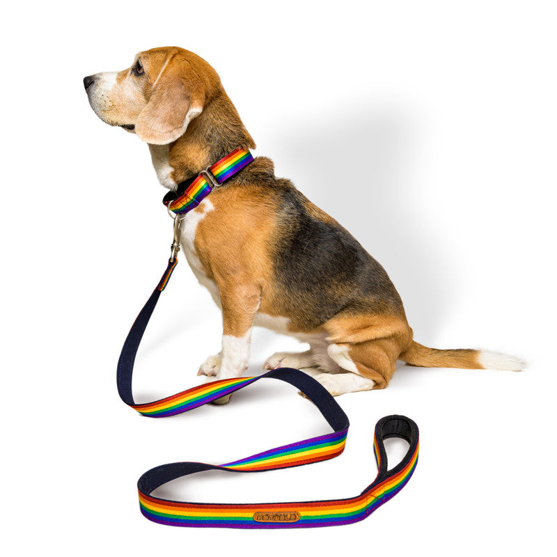 Rainbow Pride Fabric Leash with Padded Handle