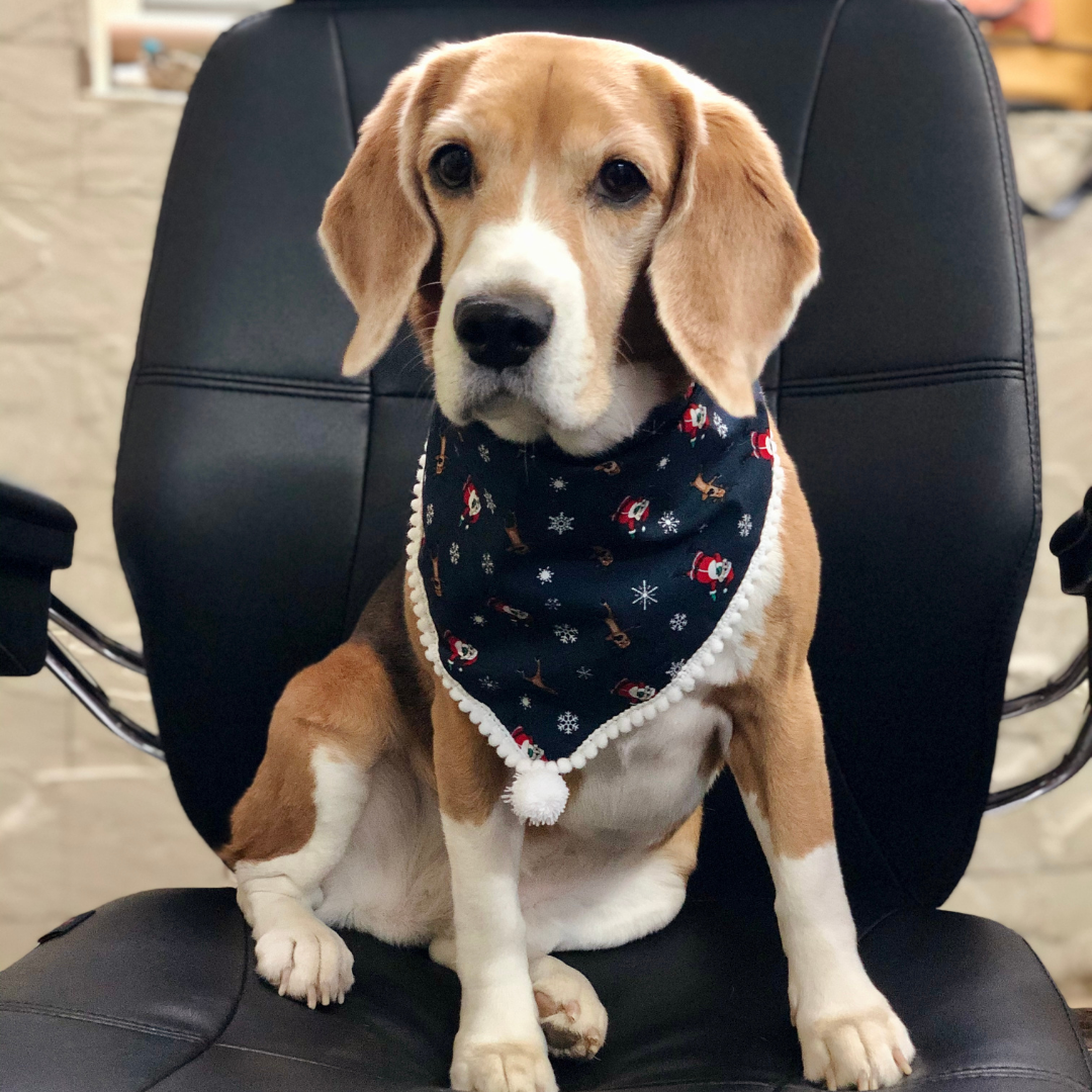 Christmas Bandana