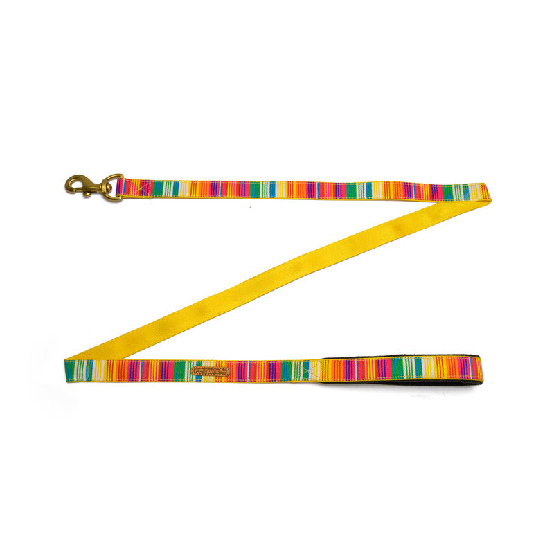 Colourful Stripes Nylon Leash with padded handle