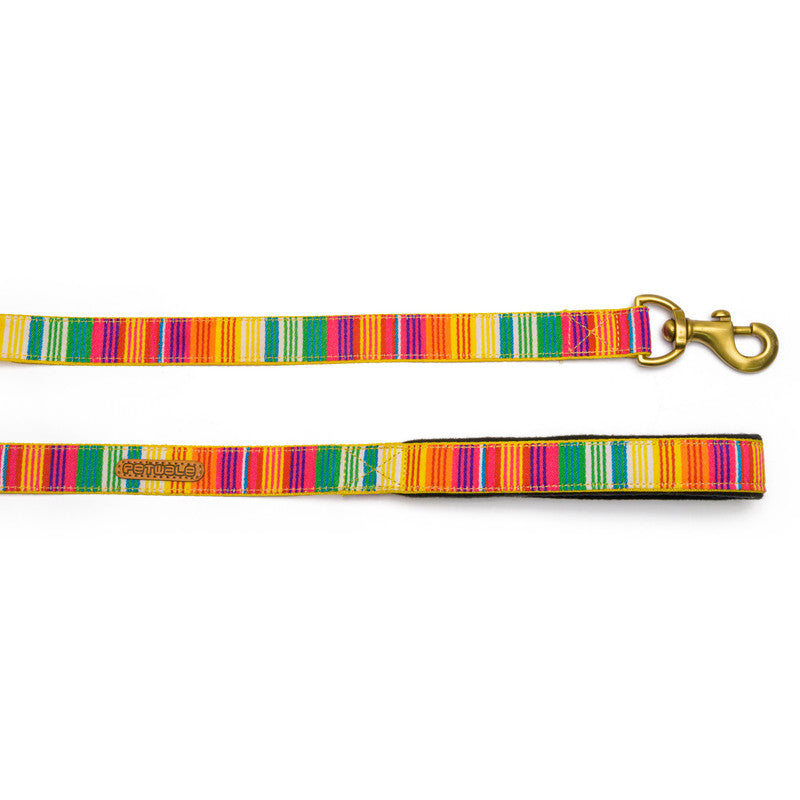 Colourful Stripes Nylon Leash with padded handle