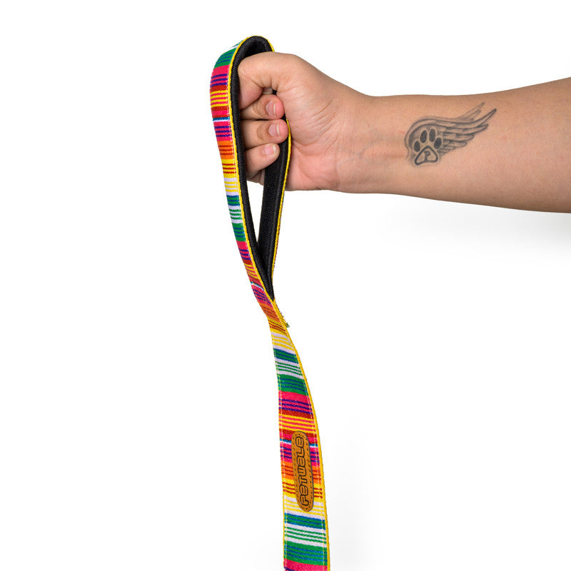 Colourful Stripes Nylon Leash with padded handle