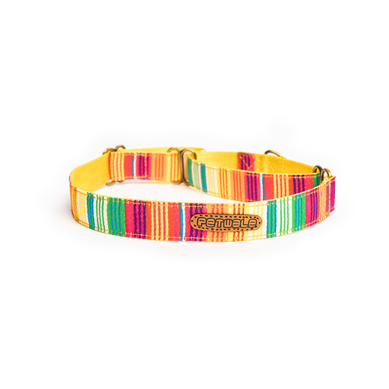 Colourful Stripes Nylon Martingale Collar