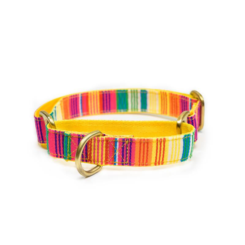 Colourful Stripes Nylon Martingale Collar