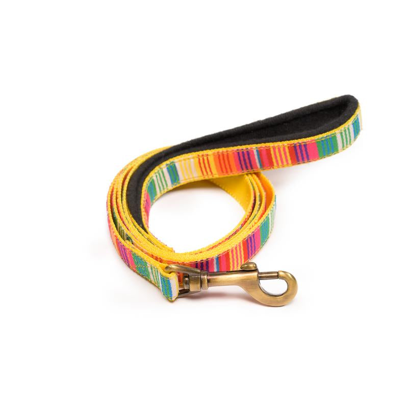 Colourful Stripes Nylon Leash with padded handle