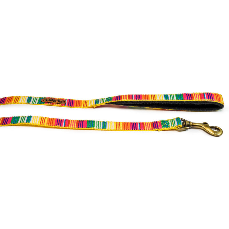 Colourful Stripes Nylon Leash with padded handle