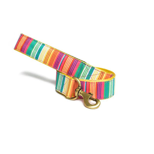 Colourful Stripes Nylon Leash with padded handle