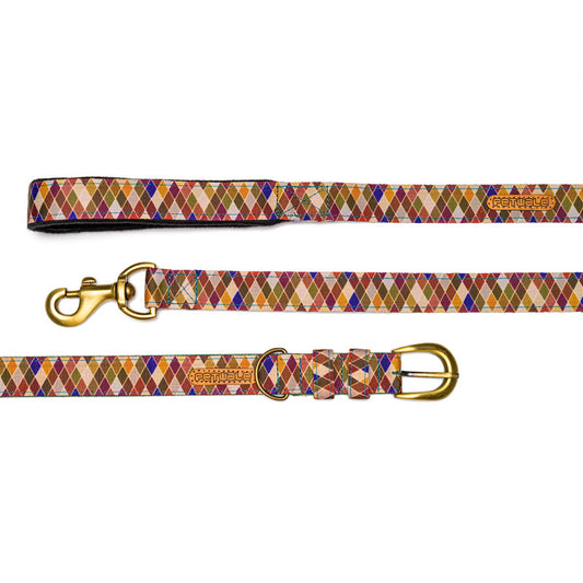 Diamond Nylon Belt Collar and Leash with Padded Handle