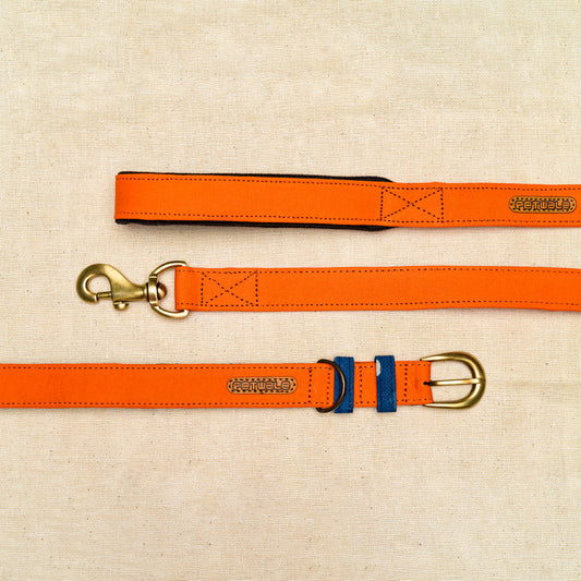 Orange Fabric Belt Collar and Leash with Padded Handle