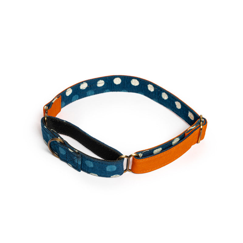 Orange Fabric Martingale Collar