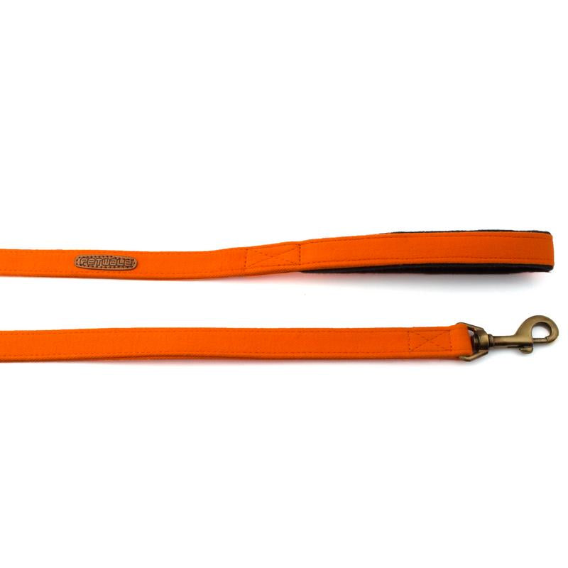 Orange Fabric Leash with padded handle